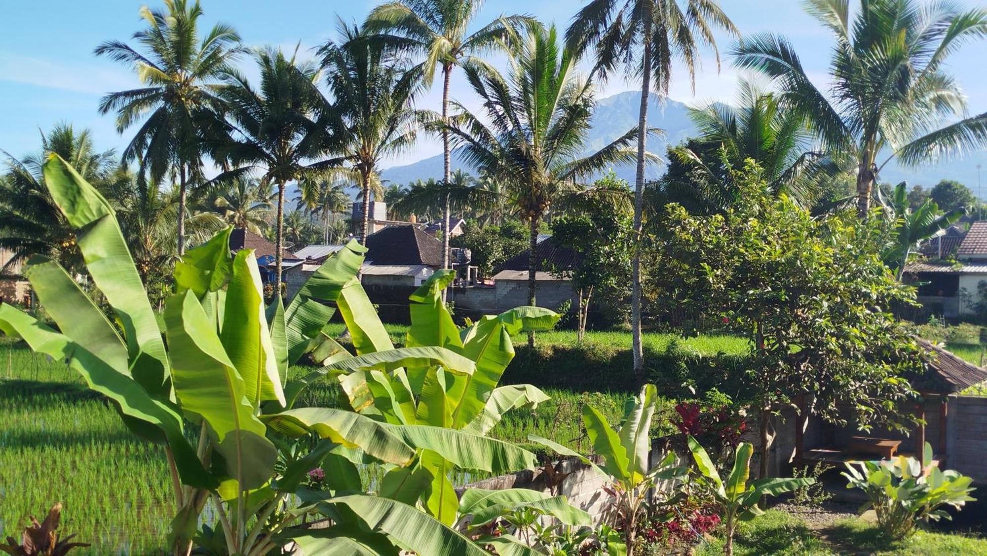 Arista Homestay เตเตบาตู ภายนอก รูปภาพ